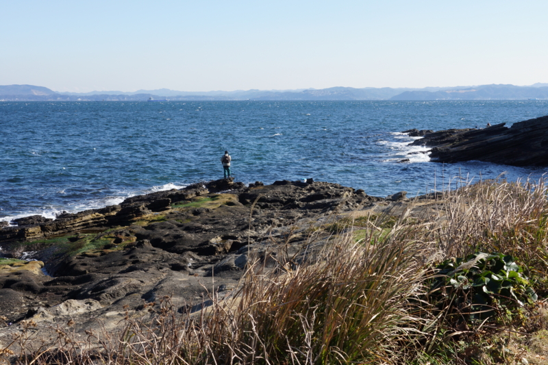 f:id:goldhead:20160109195736j:plain f:id:goldhead:20160109195736j:plain