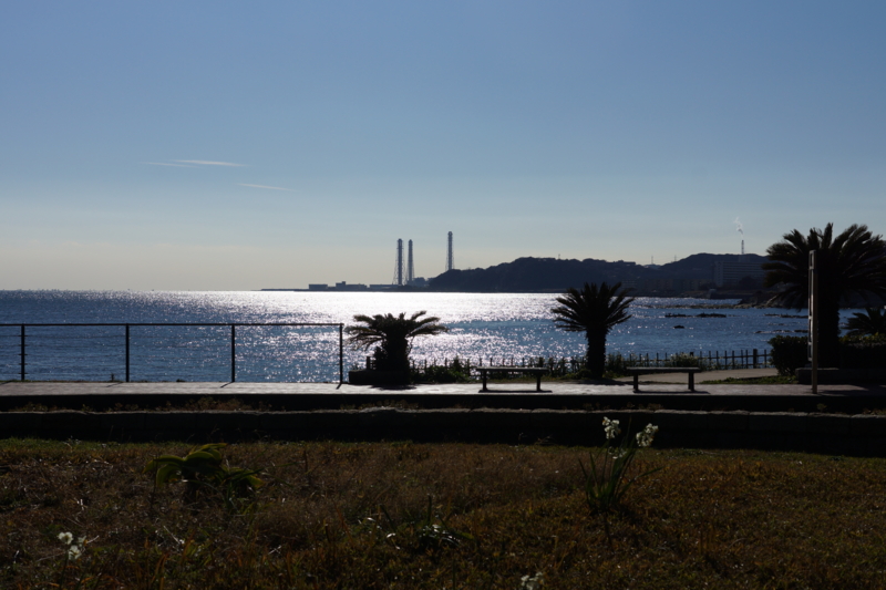 f:id:goldhead:20160109195751j:plain f:id:goldhead:20160109195751j:plain