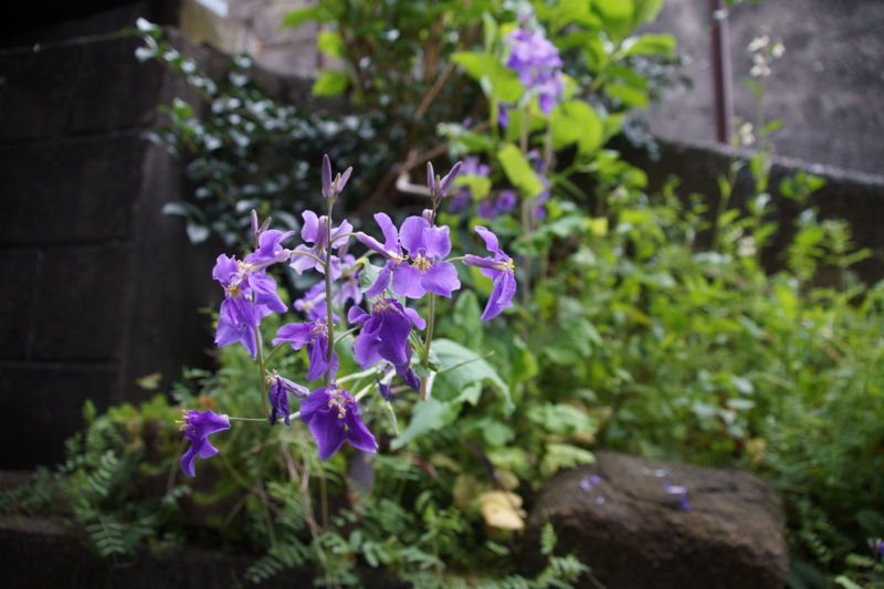 f:id:goldhead:20160402192708j:plain f:id:goldhead:20160402192708j:plain