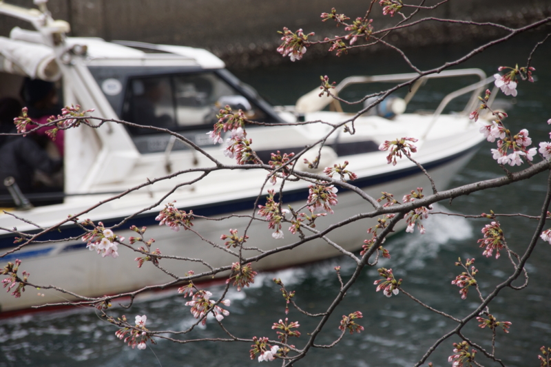 f:id:goldhead:20160402192710j:plain f:id:goldhead:20160402192710j:plain