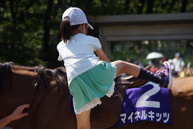 f:id:goldhead:20160505170546j:plain f:id:goldhead:20160505170546j:plain