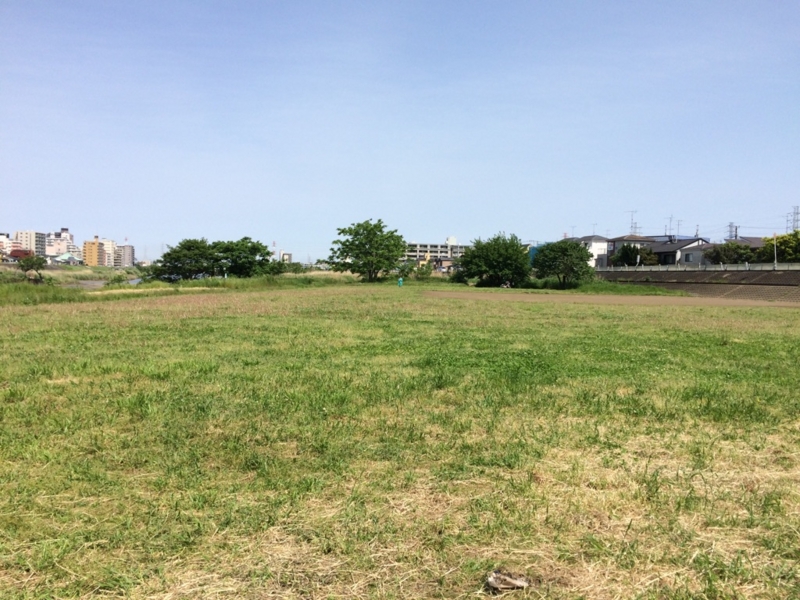 f:id:goldhead:20160507163949j:plain f:id:goldhead:20160507163949j:plain