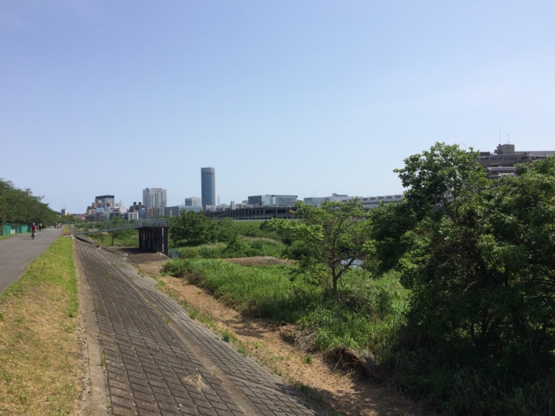 f:id:goldhead:20160507164011j:plain f:id:goldhead:20160507164011j:plain