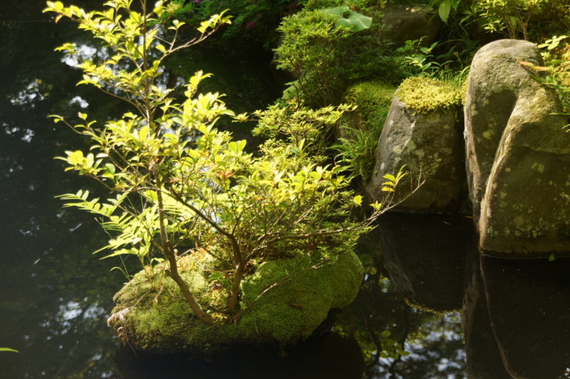 f:id:goldhead:20160515183428j:plain f:id:goldhead:20160515183428j:plain