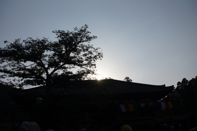 f:id:goldhead:20160515183452j:plain f:id:goldhead:20160515183452j:plain