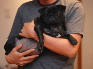 f:id:goma-family:20091105183051j:image f:id:goma-family:20091105183051j:image