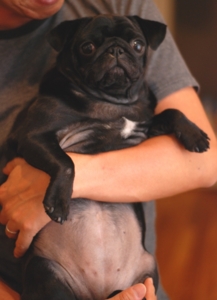 f:id:goma-family:20091105183053j:image f:id:goma-family:20091105183053j:image
