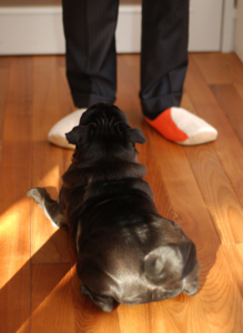 f:id:goma-family:20110302094738j:image f:id:goma-family:20110302094738j:image