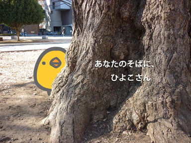 f:id:gomi-box:20110129210732j:image