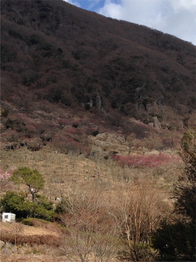 f:id:gomtbytsurugi:20160213214622j:image f:id:gomtbytsurugi:20160213214622j:image