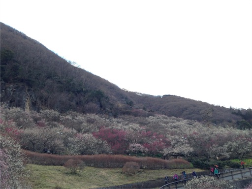 f:id:gomtbytsurugi:20160221215338j:image f:id:gomtbytsurugi:20160221215338j:image