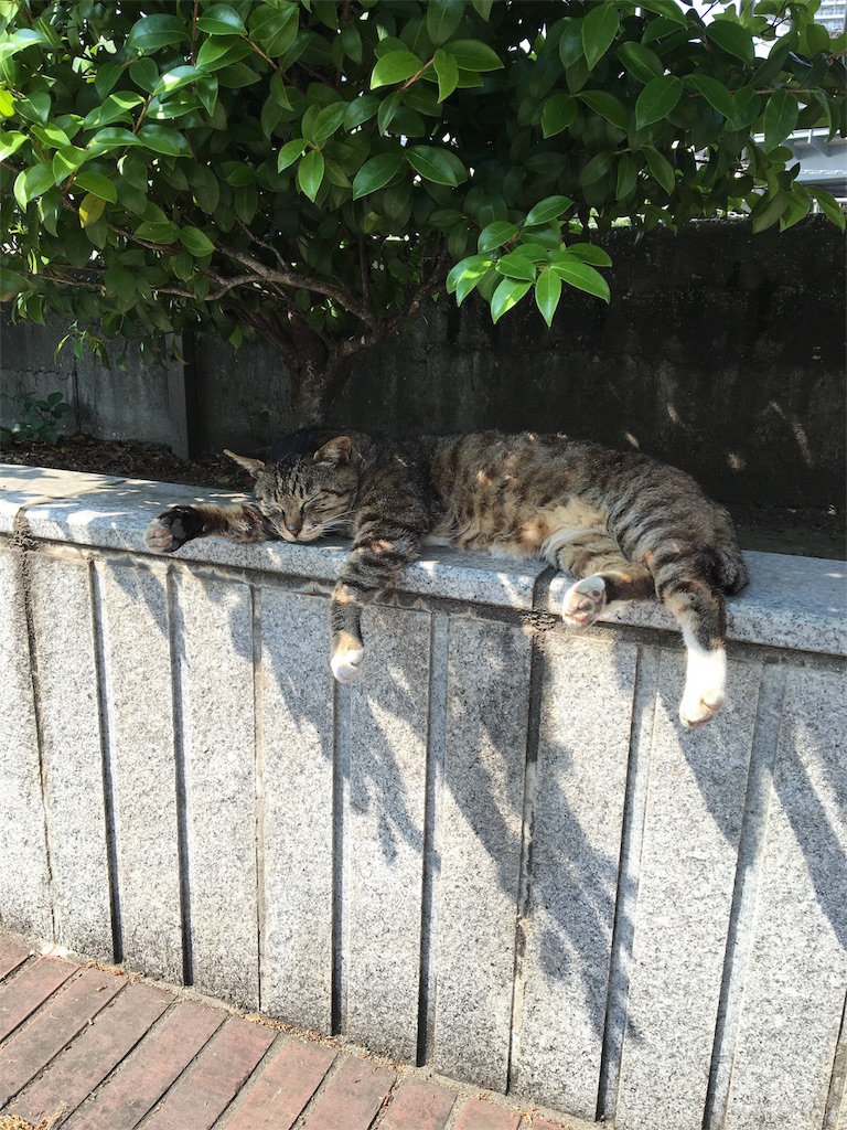f:id:gomtbytsurugi:20160523171944j:image f:id:gomtbytsurugi:20160523171944j:image