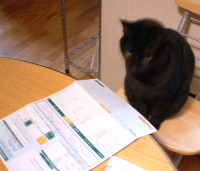 f:id:goroneko:20070203224734j:image f:id:goroneko:20070203224734j:image