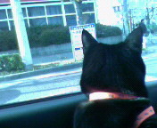 f:id:goroneko:20081230150818j:image f:id:goroneko:20081230150818j:image