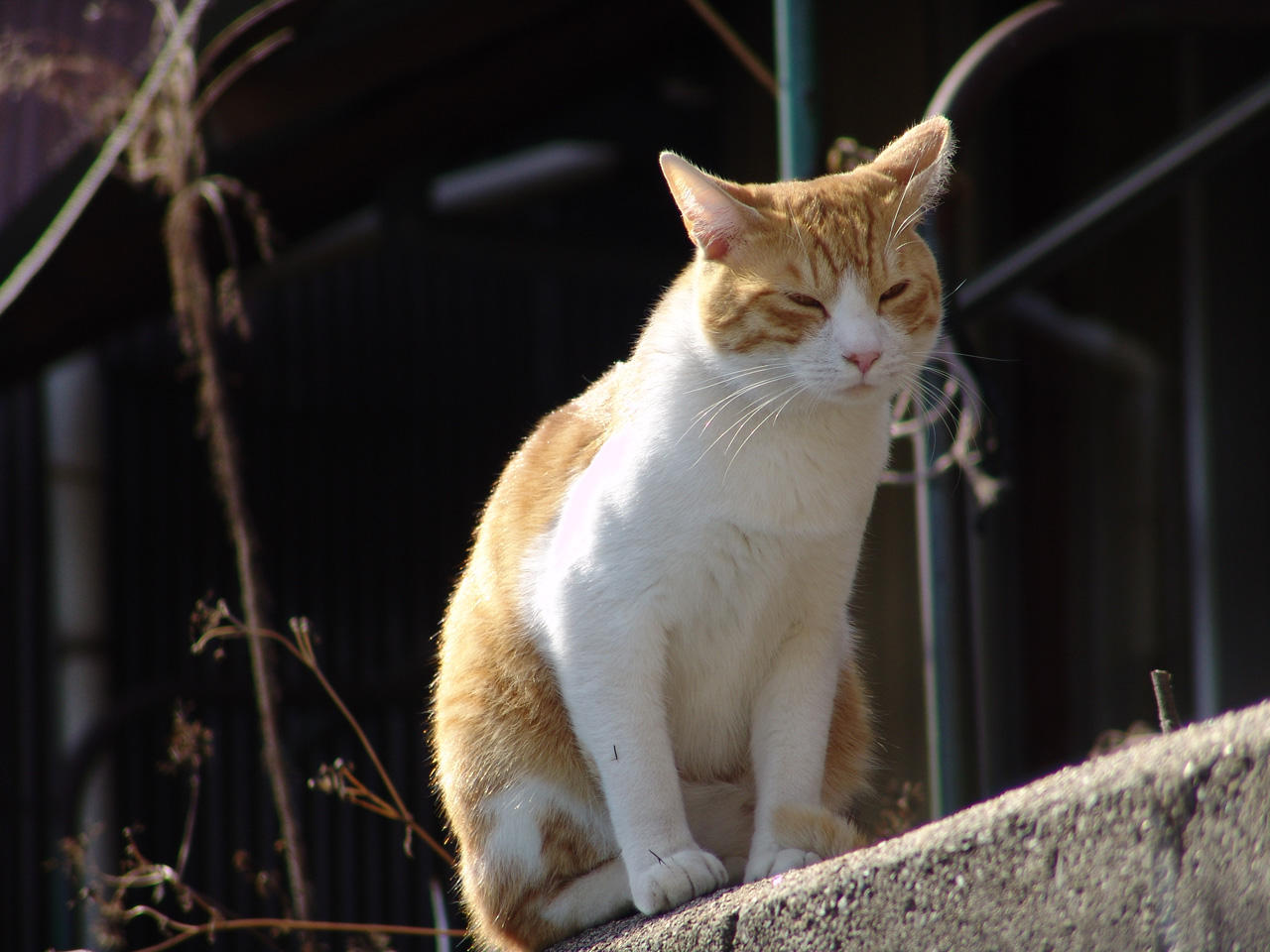 NG[hi荞݃Xbh56©2ch.net	YouTube>89{ jRjR>1{ ->摜>289 