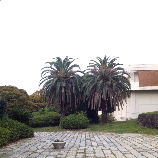f:id:gotouyohei:20141018093130j:plain f:id:gotouyohei:20141018093130j:plain