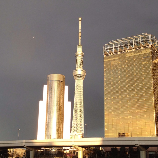 f:id:gotouyohei:20150112012134j:plain f:id:gotouyohei:20150112012134j:plain