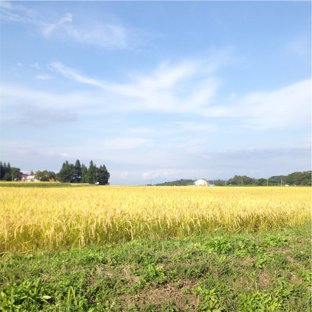 f:id:gotouyohei:20151007124917j:image f:id:gotouyohei:20151007124917j:image
