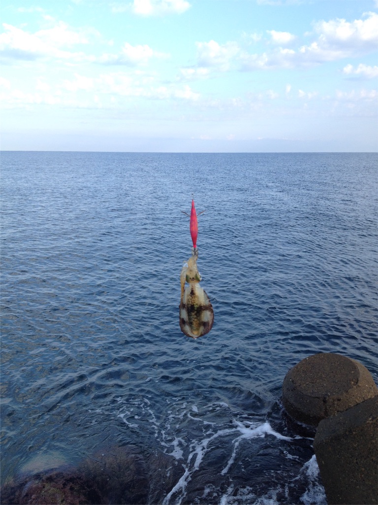 f:id:gotouyohei:20151007131848j:image f:id:gotouyohei:20151007131848j:image