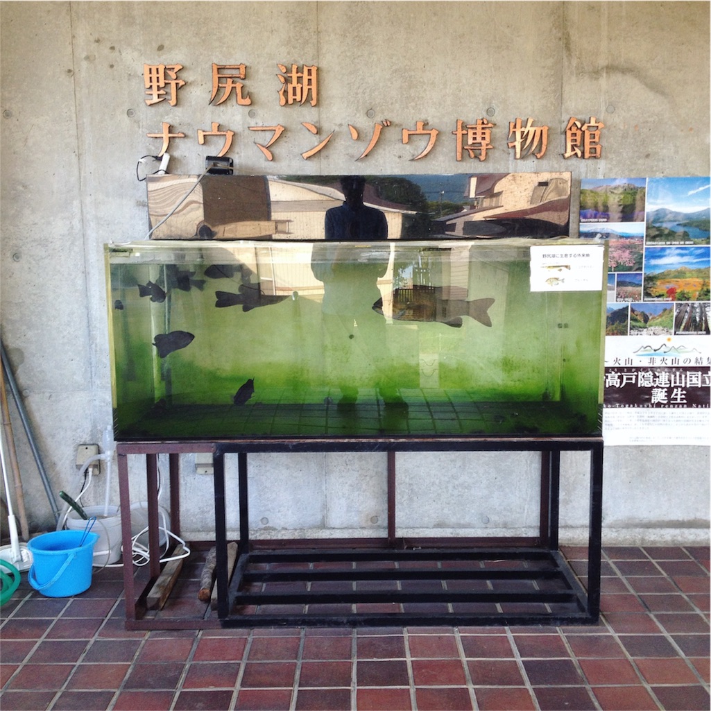 f:id:gotouyohei:20151016223950j:image f:id:gotouyohei:20151016223950j:image