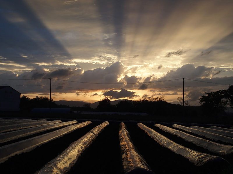 f:id:gouju:20160512052400j:plain f:id:gouju:20160512052400j:plain