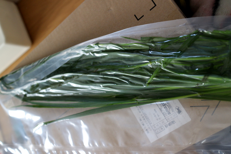 f:id:gouju:20160613052806j:plain f:id:gouju:20160613052806j:plain