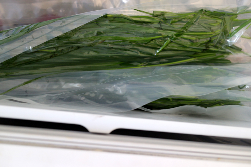 f:id:gouju:20160613053011j:plain f:id:gouju:20160613053011j:plain