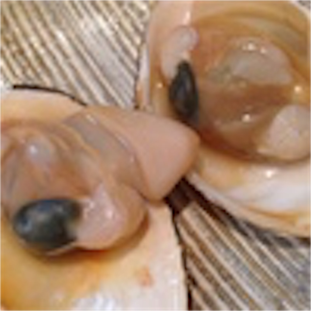 f:id:gourmetgourmetgourmet:20160421211646j:image f:id:gourmetgourmetgourmet:20160421211646j:image