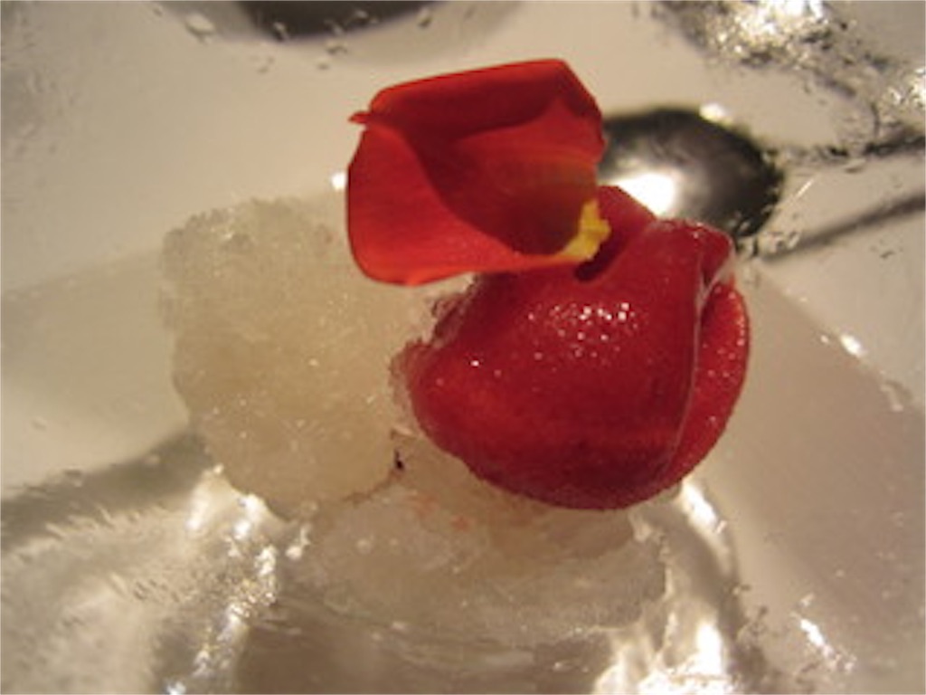 f:id:gourmetgourmetgourmet:20160421234838j:image f:id:gourmetgourmetgourmet:20160421234838j:image