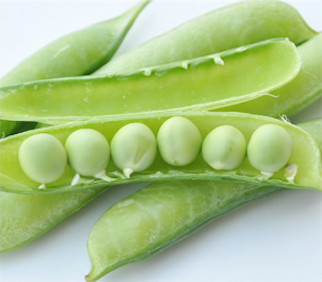 f:id:gourmetgourmetgourmet:20160426165139j:image f:id:gourmetgourmetgourmet:20160426165139j:image
