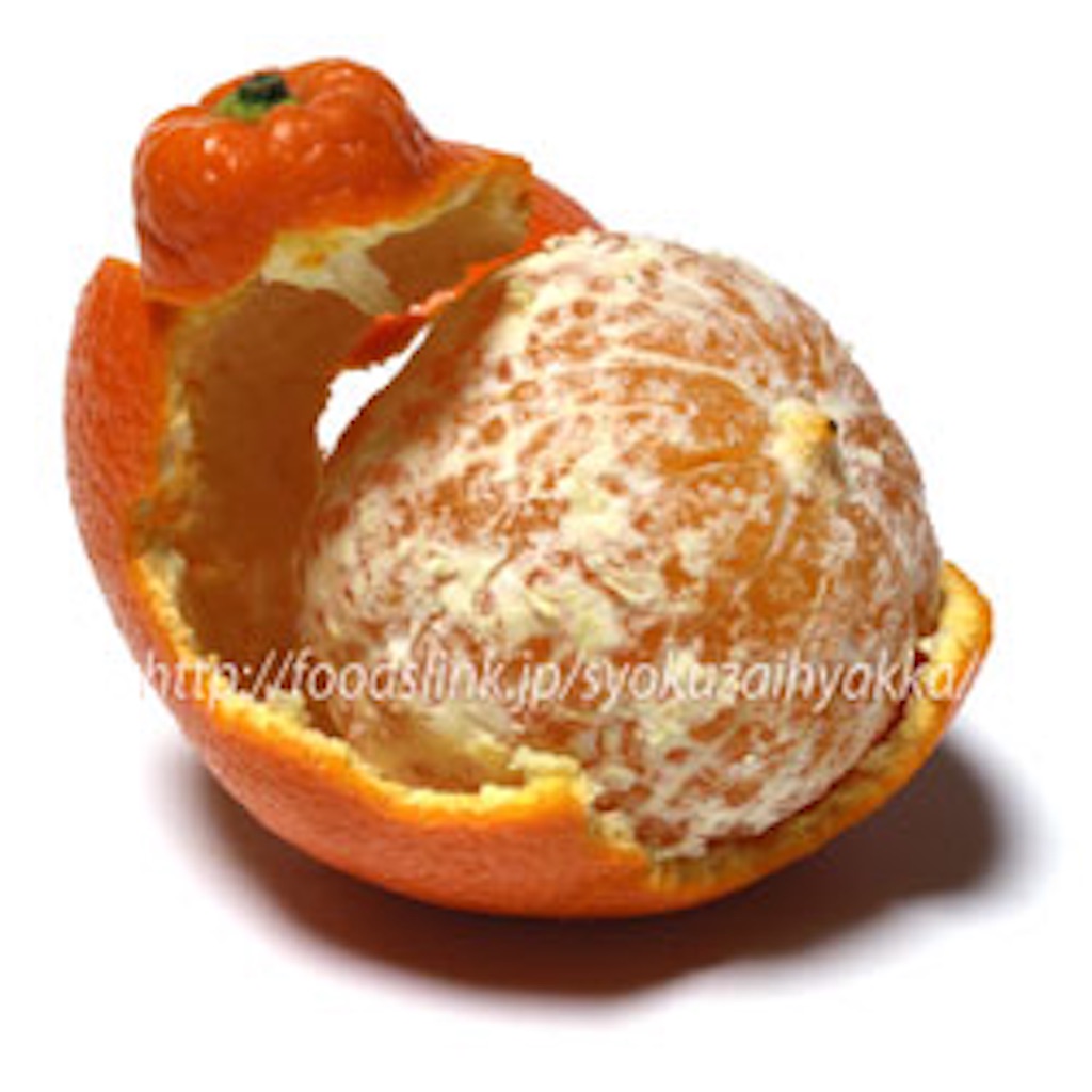 f:id:gourmetgourmetgourmet:20160509133004j:image f:id:gourmetgourmetgourmet:20160509133004j:image