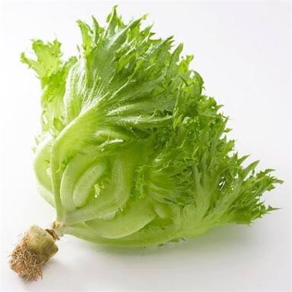 フリルレタスとは？ 世界の食のコレクション