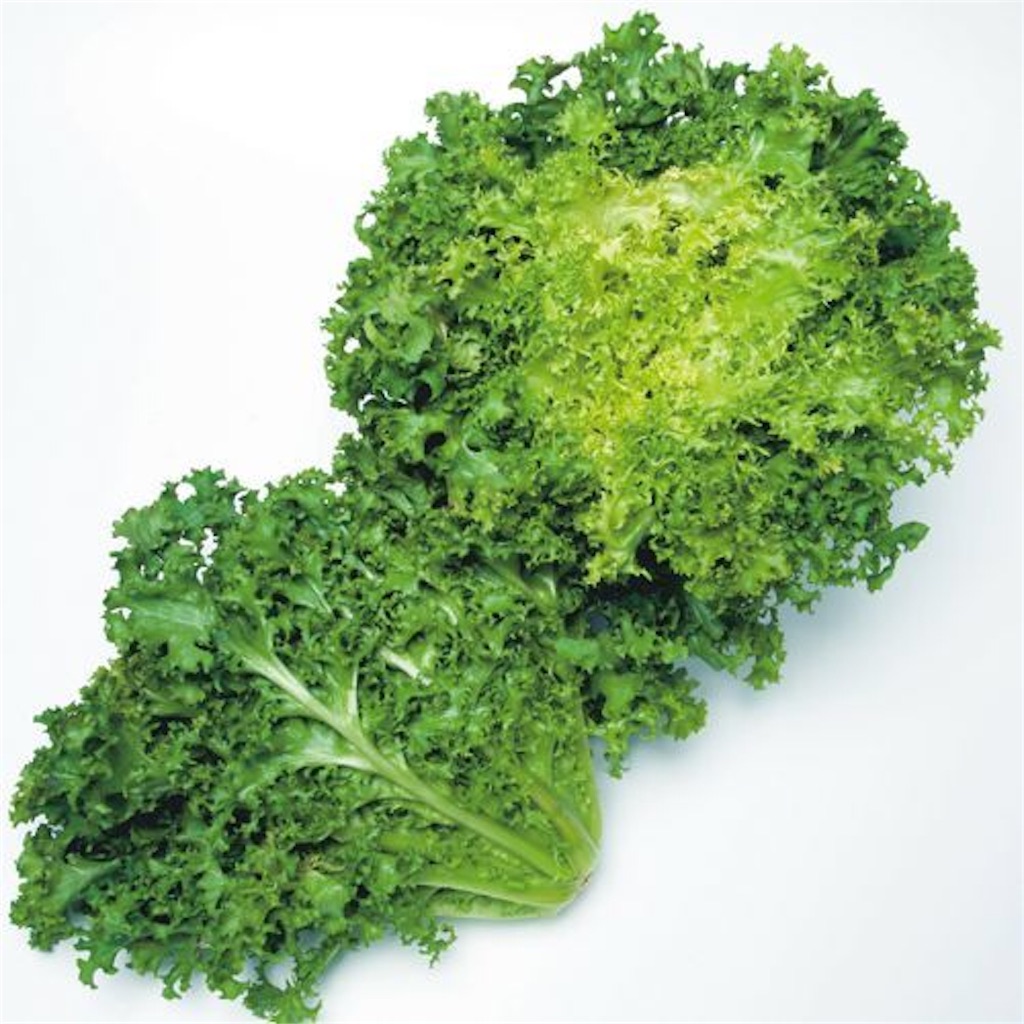 f:id:gourmetgourmetgourmet:20160510134656j:image f:id:gourmetgourmetgourmet:20160510134656j:image