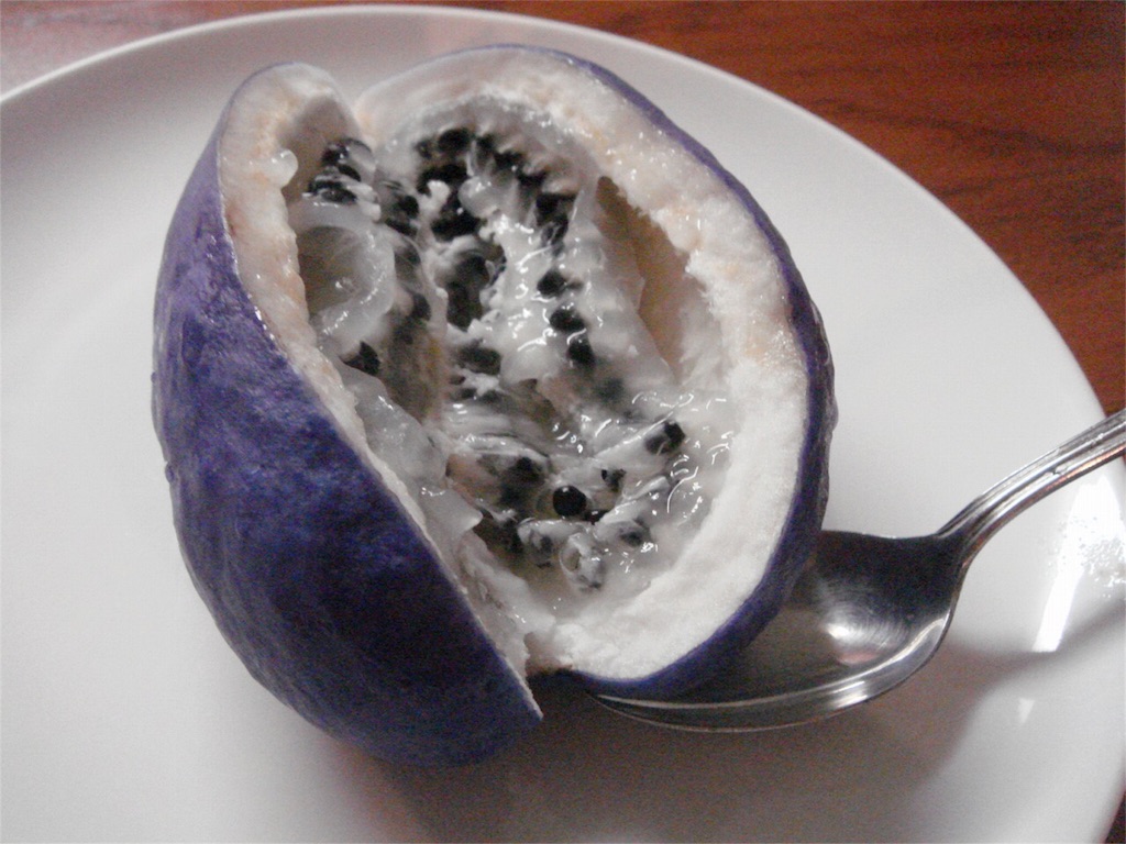 f:id:gourmetgourmetgourmet:20160510210536j:image f:id:gourmetgourmetgourmet:20160510210536j:image