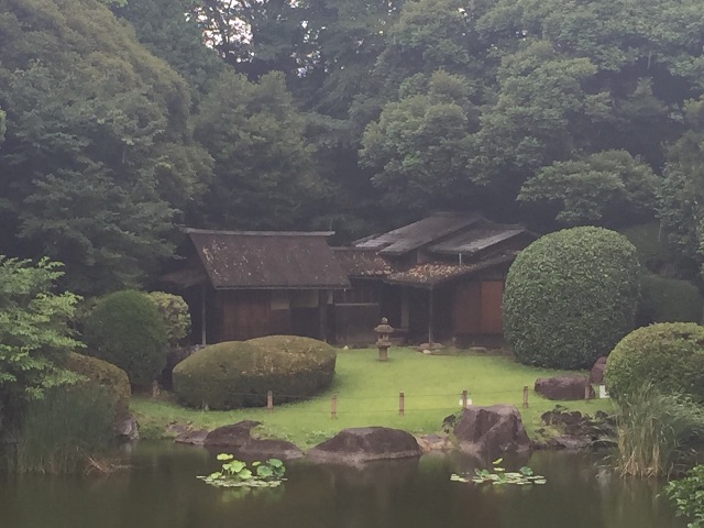 f:id:gradiolus:20150617182238j:image f:id:gradiolus:20150617182238j:image