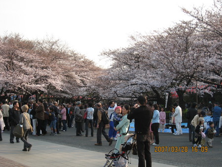 f:id:grappatei:20070328160945j:image f:id:grappatei:20070328160945j:image