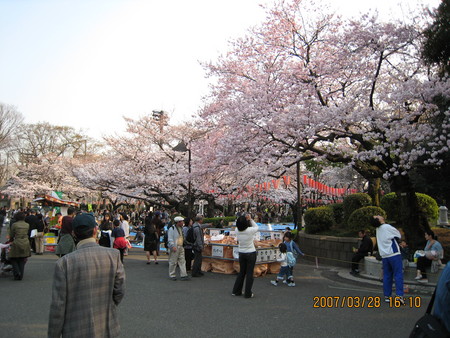 f:id:grappatei:20070328161027j:image f:id:grappatei:20070328161027j:image