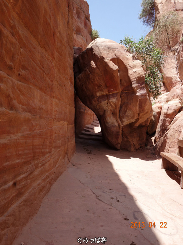 f:id:grappatei:20130430090021j:plain