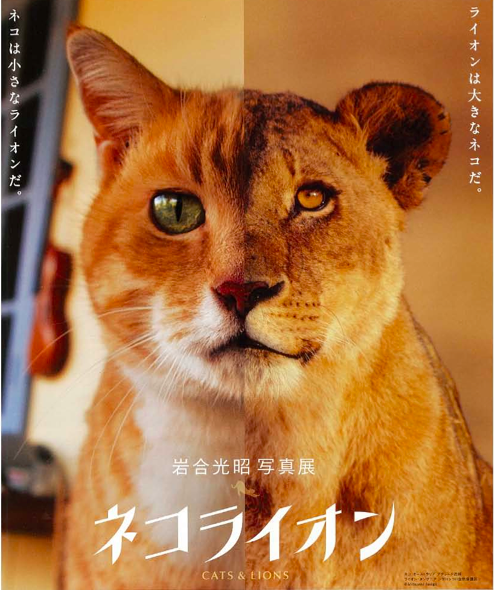 f:id:grappatei:20130821220506p:plain f:id:grappatei:20130821220506p:plain