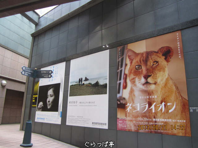 f:id:grappatei:20130823095509j:plain f:id:grappatei:20130823095509j:plain