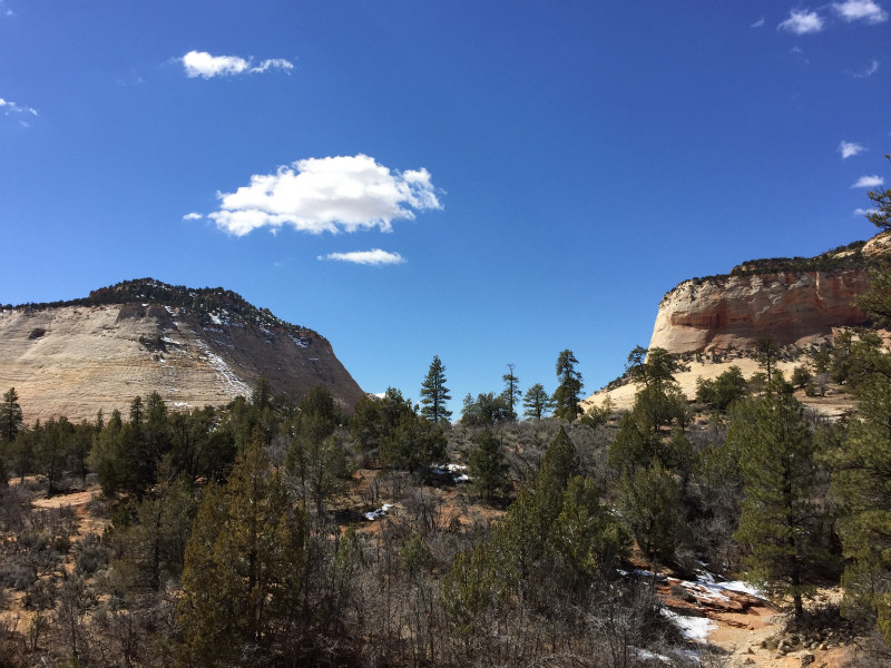 f:id:grappatei:20150321174508j:plain f:id:grappatei:20150321174508j:plain