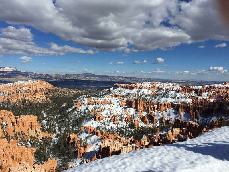 f:id:grappatei:20150321184315j:plain f:id:grappatei:20150321184315j:plain