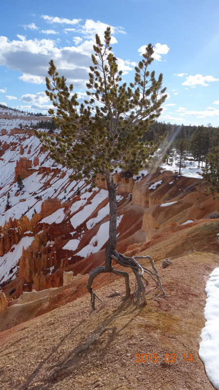 f:id:grappatei:20150321185310j:plain f:id:grappatei:20150321185310j:plain