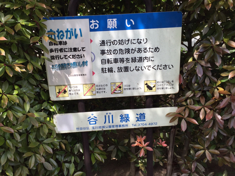 f:id:grappatei:20150507105459j:plain f:id:grappatei:20150507105459j:plain