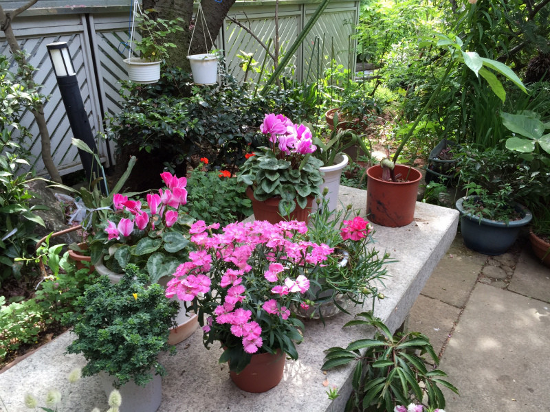 f:id:grappatei:20150507113416j:plain f:id:grappatei:20150507113416j:plain