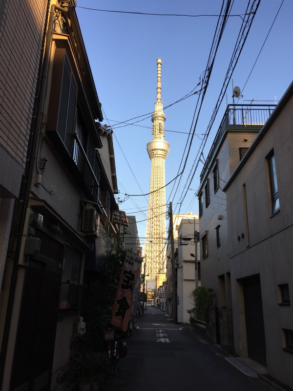 f:id:grappatei:20160217100613j:plain f:id:grappatei:20160217100613j:plain