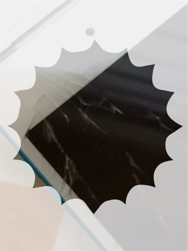 f:id:grasshopper06:20160404001022j:image f:id:grasshopper06:20160404001022j:image