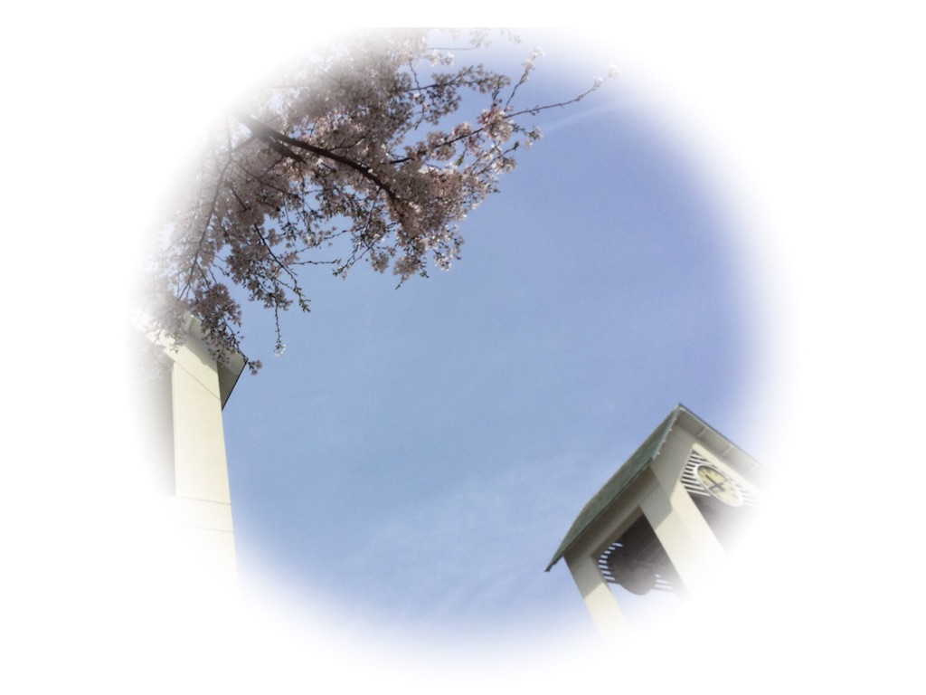 f:id:grasshopper06:20160413080248j:image f:id:grasshopper06:20160413080248j:image