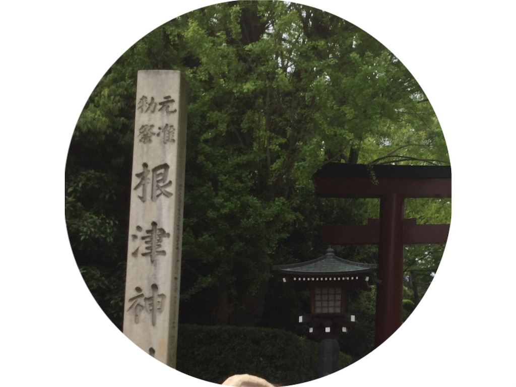 f:id:grasshopper06:20160504071728j:image f:id:grasshopper06:20160504071728j:image