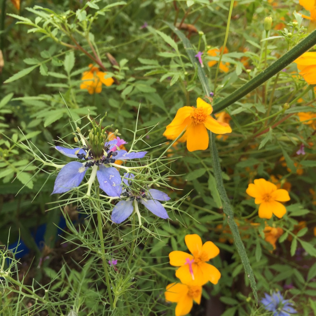 f:id:green015:20150813193809j:image f:id:green015:20150813193809j:image
